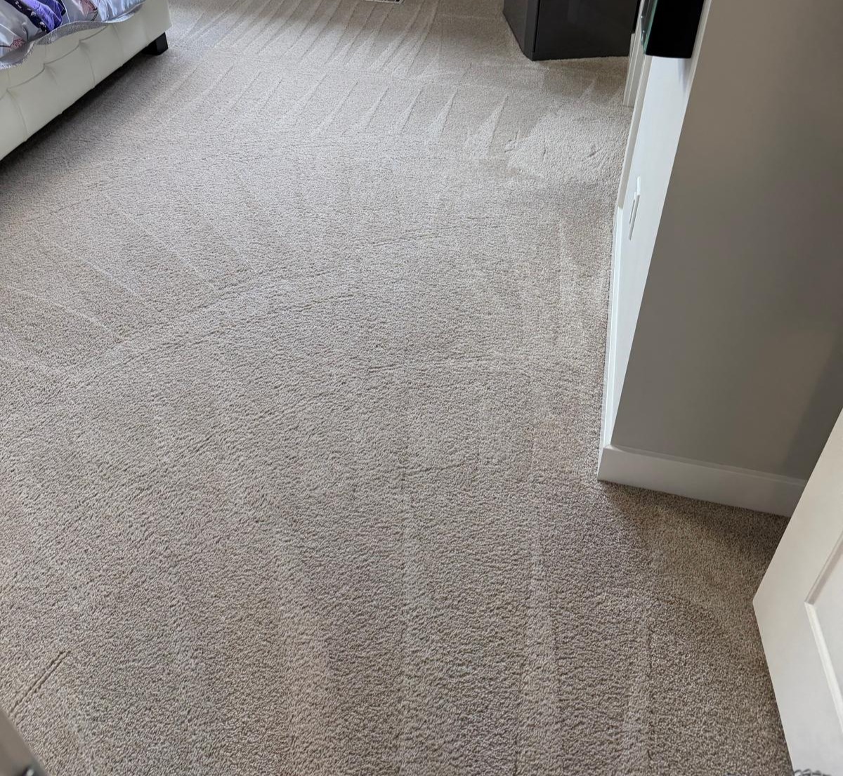 Professional carpet cleaning lines after a PECS carpet clean in Edmonton