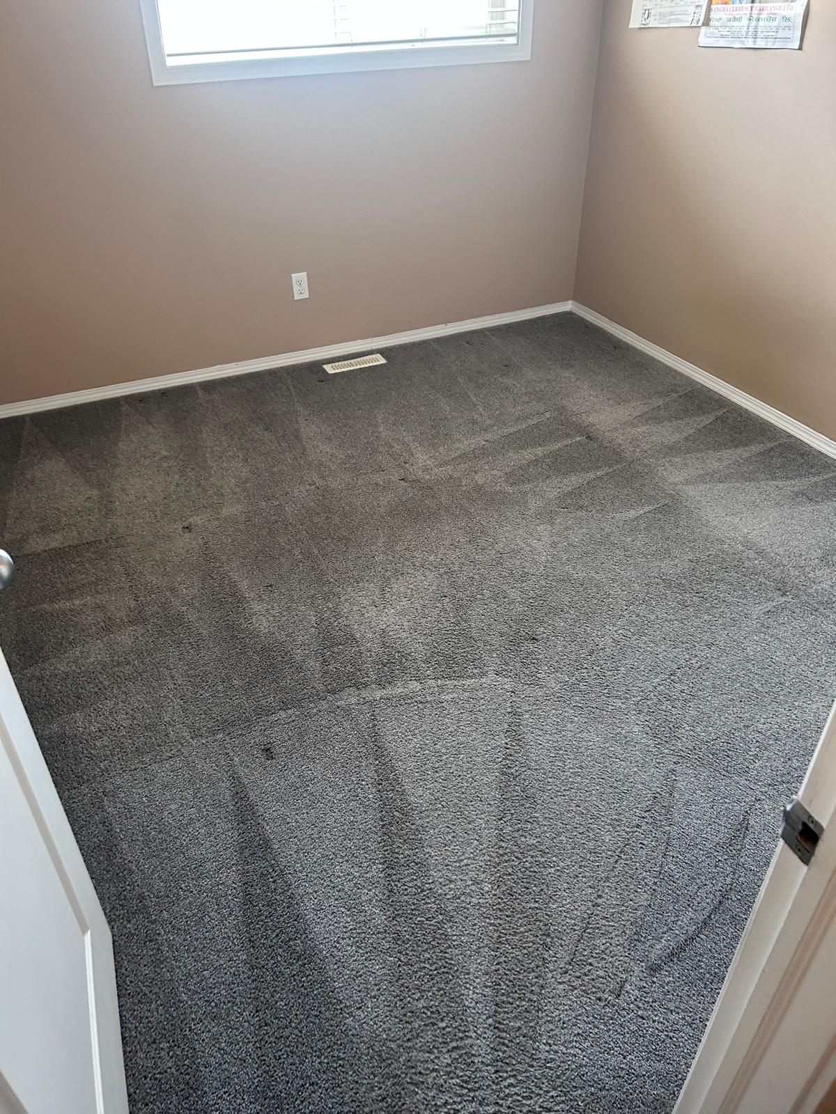 Freshly cleaned carpet in an empty Edmonton home room